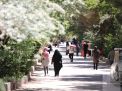 گزارش تصویری اردوی کارکنان دانشگاه 